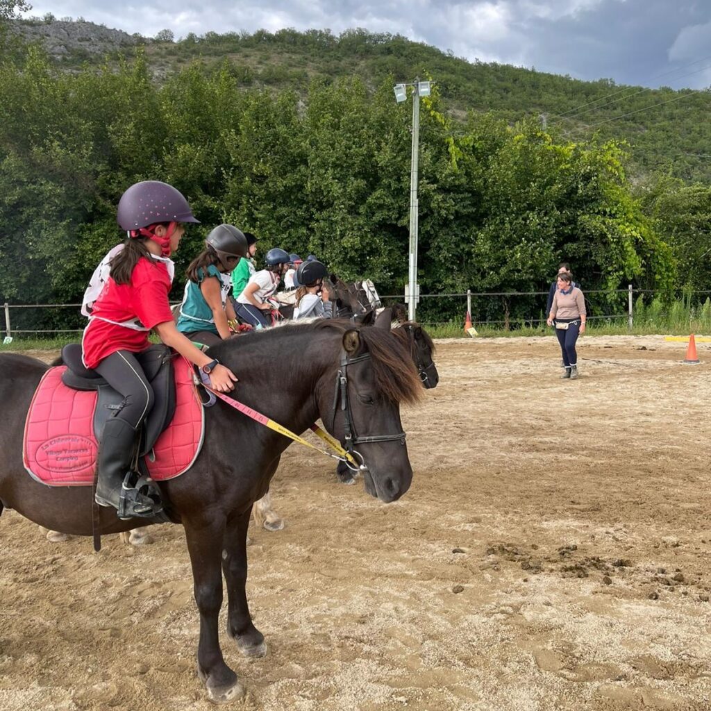 Poney cours équitation cahors